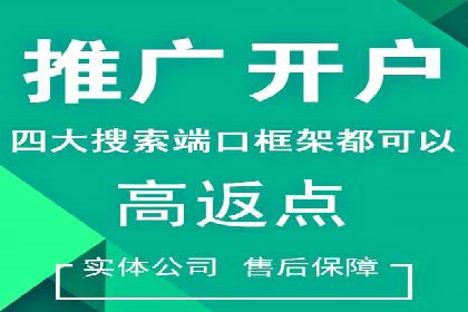Sem优化公司实例：电商流量提升策略