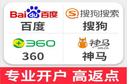 SEM推广实战：成功案例剖析